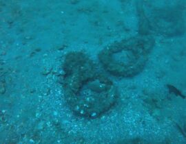 After months of research, preparation, and scanning with the SeaSearcher, we were amazed by the sheer amount of late-1700s to mid-1800s artifacts discovered at the Melbourne Beach Ring Site, listing this newly discovered historic shipwreck in the Florida Master Site File system.
